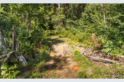 27.94 Ac 00 State Hwy Zz, Robertsville, MO 65066 - Photo 29