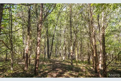 27.94 Ac 00 State Hwy Zz, Robertsville, MO 65066 - Photo 33