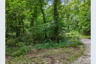24507 Lebanese Ln, St Mary, MO 63673 - Photo 21