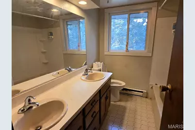 313 Saint Gerard Street, Bonne Terre, MO 63628 - Photo 11