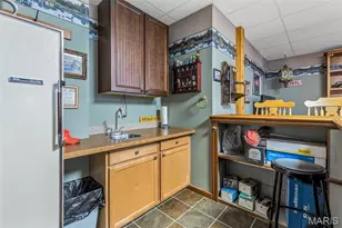 9850 W Vista Dr, Hillsboro, MO 63050 - Photo 67