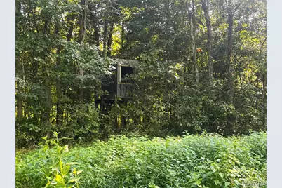 001 Wayne 526, Greendale, MO 63944 - Photo 25
