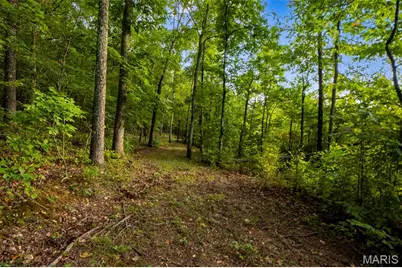 001 Wayne 526, Greendale, MO 63944 - Photo 21
