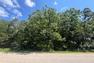0 Rue Marne, Bonne Terre, MO 63628 - Photo 7