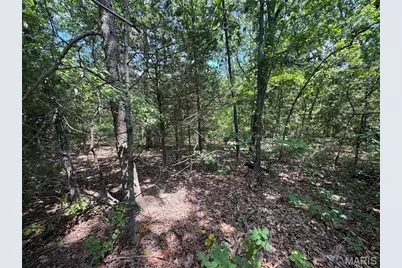 0 Rue Marne, Bonne Terre, MO 63628 - Photo 1