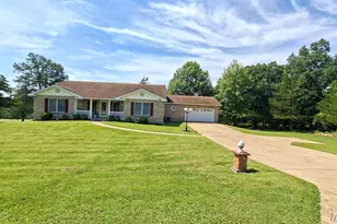 1390 Rue Riviera, Bonne Terre, MO 63628 - Photo 3