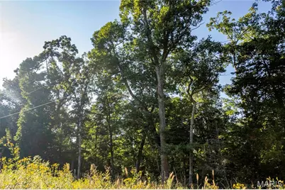 00 Leweke Lane, Hermann, MO 65041 - Photo 13