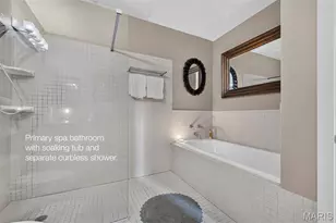 703 N 13th St, Saint Louis, MO 63103 - Photo 35