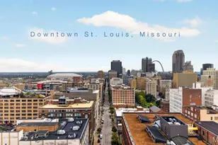 703 N 13th St, Saint Louis, MO 63103 - Photo 47