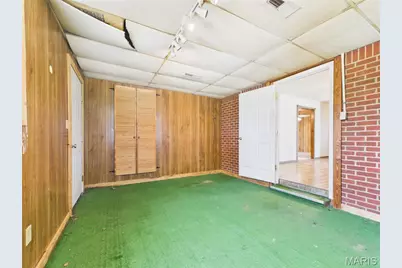 39389 County Road 233, Malden, MO 63863 - Photo 9