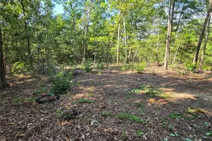 3854 Wayne 526, Greendale, MO 63944 - Photo 7