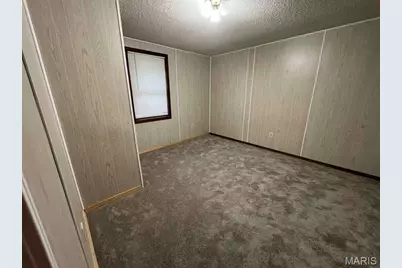16 Monte Rosa Drive, De Soto, MO 63020 - Photo 15