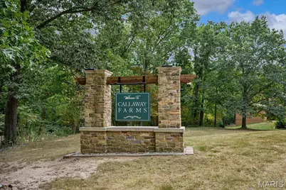 2 Patrick Lane, Defiance, MO 63341 - Photo 79