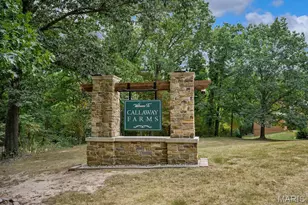 2 Patrick Ln, Defiance, MO 63341 - Photo 79