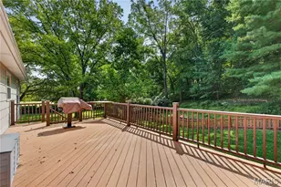 828 N Forest Ave, Webster Groves, MO 63119 - Photo 29