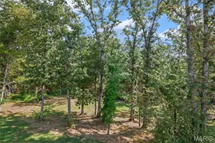 1402 Cir Hill Dr, Hillsboro, MO 63050 - Photo 37