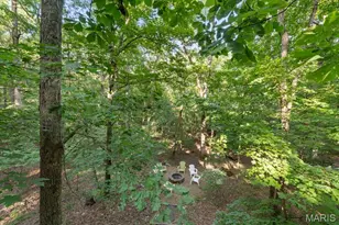 2506 Alpine Woods Dr, Wright City, MO 63390 - Photo 37