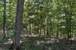 5 49 Acres T Warren, Warrenton, MO 63383 - Photo 1