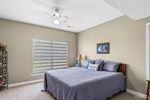 223 Woodvine Ct, Farmington, MO 63640 - Photo 39