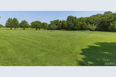 223 Woodvine Court, Farmington, MO 63640 - Photo 69