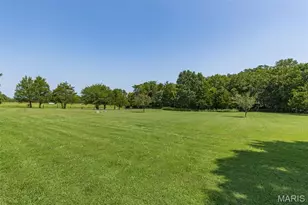 223 Woodvine Ct, Farmington, MO 63640 - Photo 69