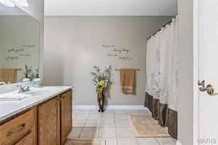 223 Woodvine Ct, Farmington, MO 63640 - Photo 41