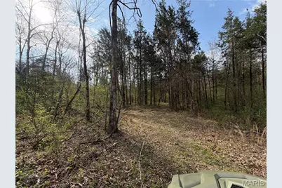 2A Furnace Creek Road, Potosi, MO 63664 - Photo 9