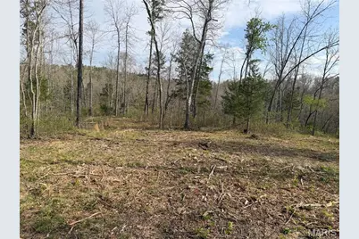 2A Furnace Creek Road, Potosi, MO 63664 - Photo 17
