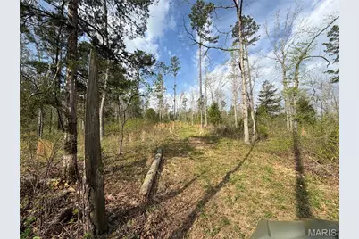 2A Furnace Creek Road, Potosi, MO 63664 - Photo 11