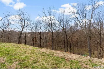 9 Amber Ridge Court, High Ridge, MO 63049 - Photo 39