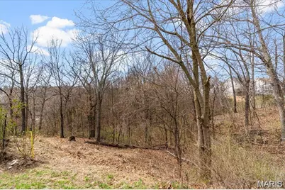 9 Amber Ridge Court, High Ridge, MO 63049 - Photo 45