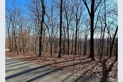 406 Big River View, Eureka, MO 63025 - Photo 3