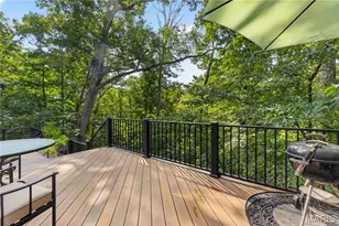 19334 Ossenfort Ct, Glencoe, MO 63038 - Photo 57