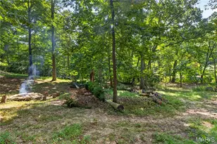 19334 Ossenfort Ct, Glencoe, MO 63038 - Photo 49