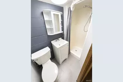 3519 Roy Avenue, Saint Louis, MO 63114 - Photo 21