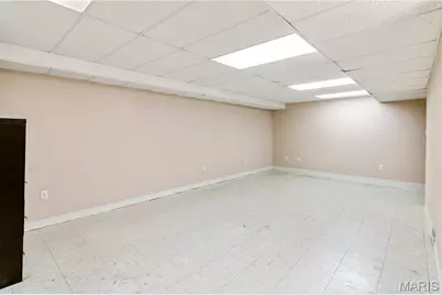 709 Woodrow Avenue, Festus, MO 63028 - Photo 19