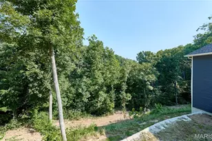 50 Wilderness Ln, Defiance, MO 63341 - Photo 55