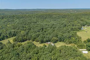 10071 Old St Louis Rd, Valles Mines, MO 63087 - Photo 21