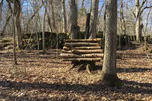 10071 Old St Louis Rd, Valles Mines, MO 63087 - Photo 79
