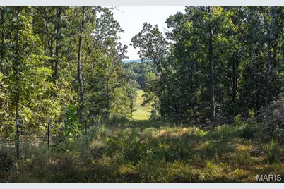 000 Highway F, Potosi, MO 63664 - Photo 27
