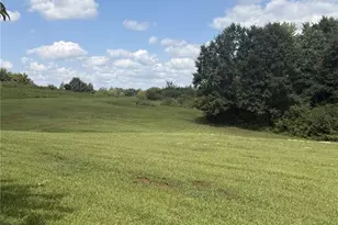443 Hwy Z, Silex, MO 63377 - Photo 19