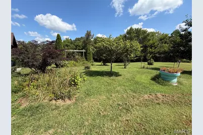 443 Highway Z, Silex, MO 63377 - Photo 5