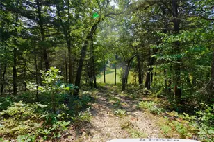 3116 Hwy P, Robertsville, MO 65066 - Photo 93