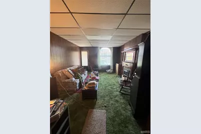 3419 Wisconsin Avenue, Saint Louis, MO 63118 - Photo 7