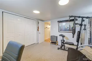 20 Alpha Dr, Florissant, MO 63031 - Photo 41