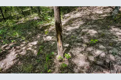 30172 State Highway 94, Hermann, MO 65041 - Photo 89