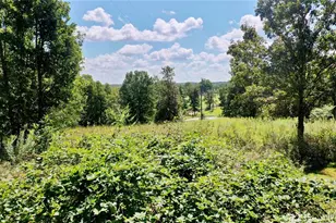 352 Hwy M, Shelbyville, MO 65565 - Photo 41
