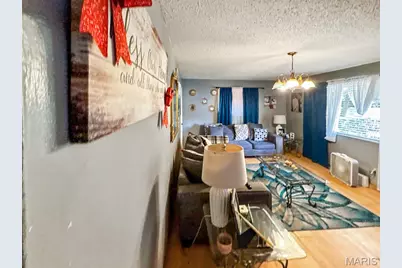 1129 Walker Avenue, Saint Louis, MO 63138 - Photo 11