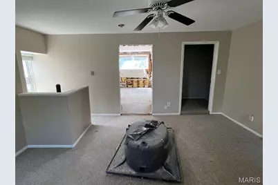 2326 Park Avenue, Saint Louis, MO 63104 - Photo 13