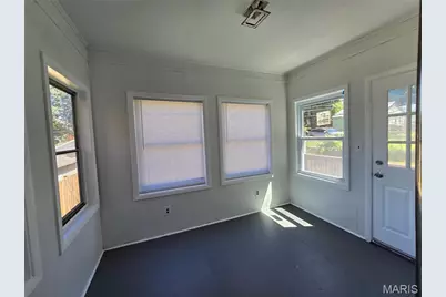3915 Miami Street, Saint Louis, MO 63116 - Photo 23